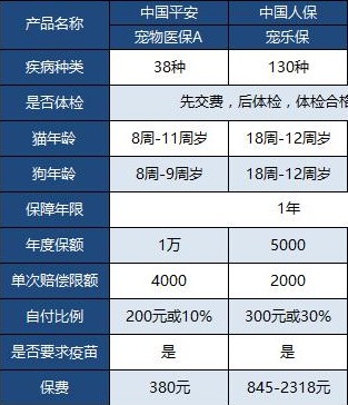 铲屎官必看：爱宠生病再也不用慌，宠物也能买保险！