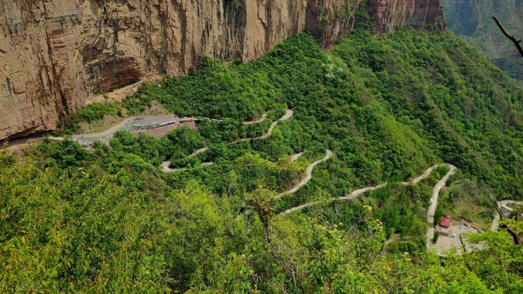 宠物旅游｜万仙山景区爱宠托运秘籍