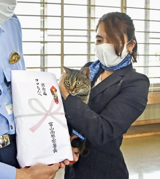 老人摔进沟里猫咪跟路人合力救起！警察蜀黍奖励它一包猫粮