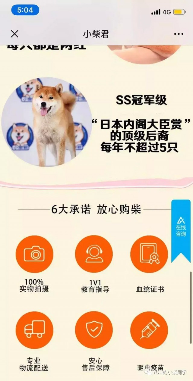 曝光一家骗子柴犬舍！！！